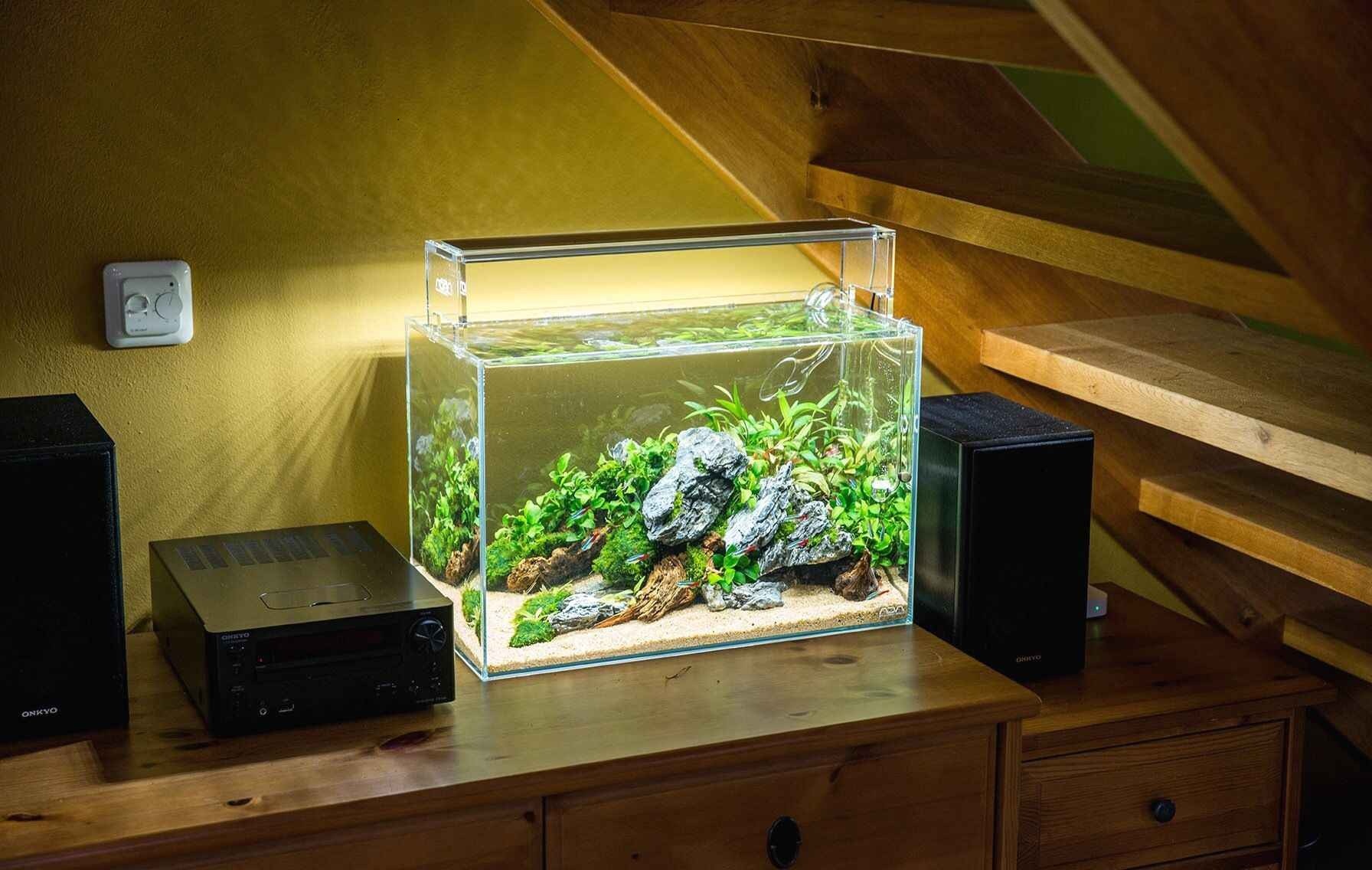 Relaxation Aquascaping Ideas For Inspiration 3 